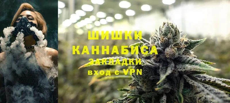 Шишки марихуана THC 21%  мориарти Telegram  Туймазы  продажа наркотиков 